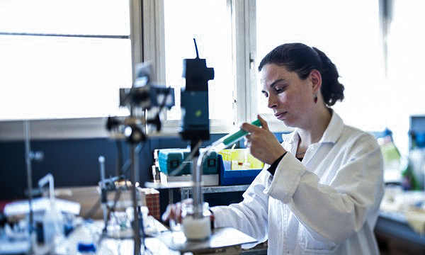 Le Journal du Grand Paris : Laboratoire d'Emulsar© Sylvain Larnicol