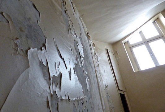 Logement insalubre. ©Luc Legay