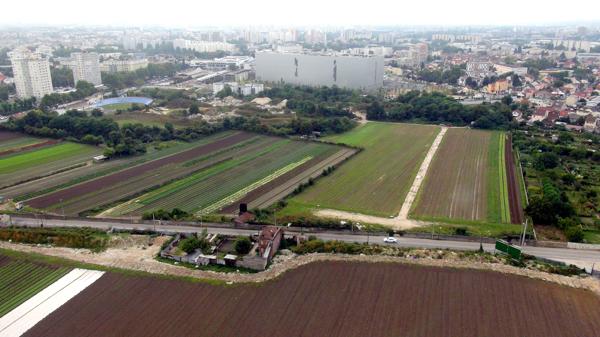 Agriculture urbaine