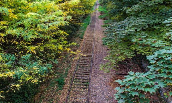 Petite ceinture