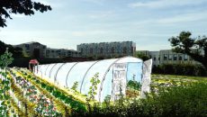 Projet de micro-ferme urbaine du Paysan urbain à Bondy
