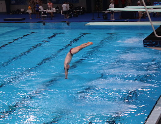 Championnats d'Europe de natation : le CAO métropole du Grand Paris replonge dans le grand bain